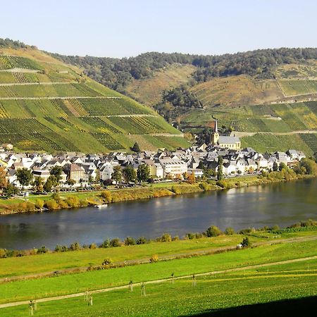 Weinstube Pension Moselbluemchen Zeltingen-Rachtig Extérieur photo