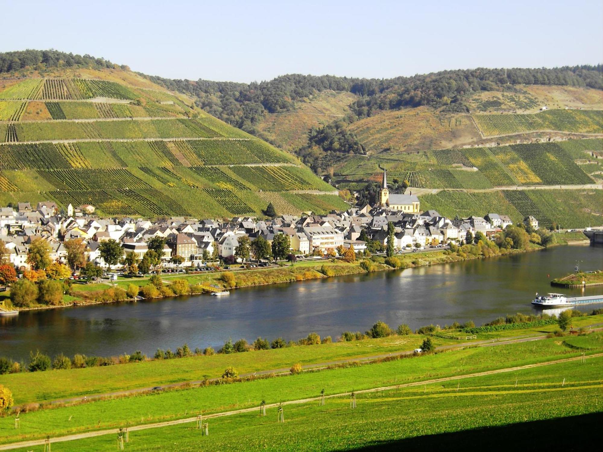 Weinstube Pension Moselbluemchen Zeltingen-Rachtig Extérieur photo