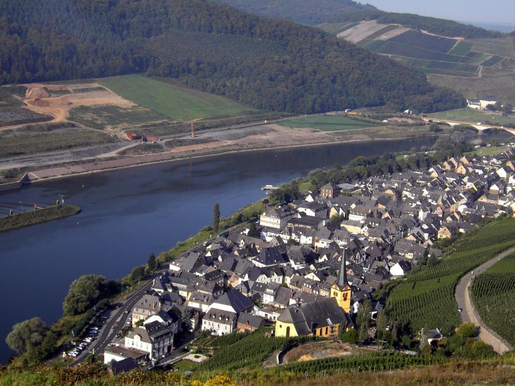 Weinstube Pension Moselbluemchen Zeltingen-Rachtig Extérieur photo