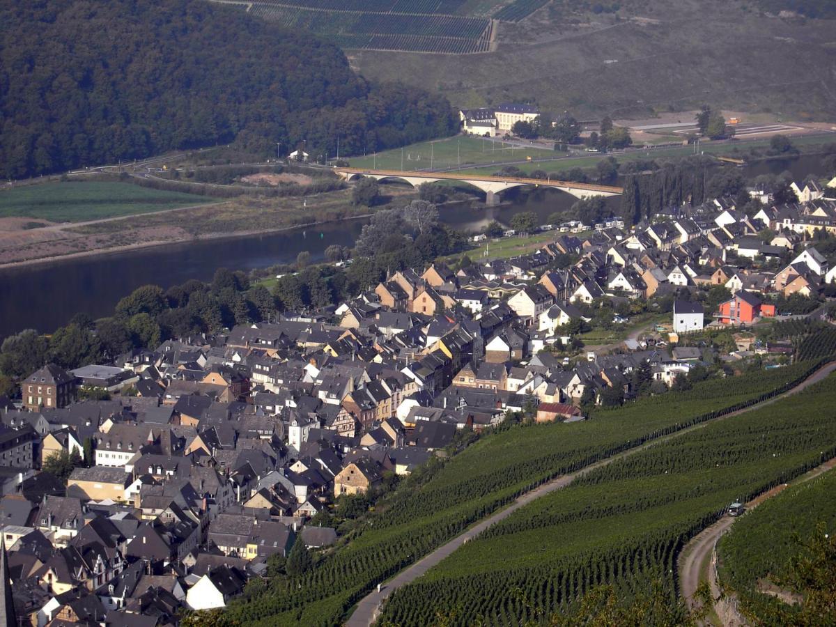 Weinstube Pension Moselbluemchen Zeltingen-Rachtig Extérieur photo